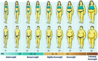 Body Composition Chart Body Composition Chart