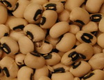 Black Eyed Peas as a Molybdenum Source