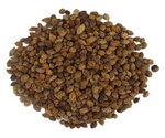 Cardamom Seeds