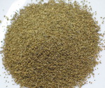 Celery Seeds 