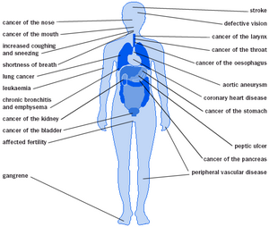 Effects of Smoking On The Body