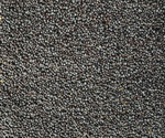 Black Mustard Seeds