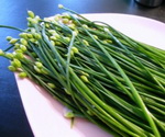 Onion Chives