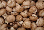 Mushrooms Pantothenic Acid Food
