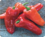 Paprika Peppers