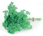 Parsley Curly Leaf Bunch