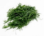 Tarragon Herb