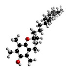 Vitamin E Molecule