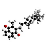 Vitamin K Molecule