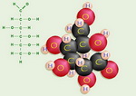 Carbohydrate Molecule