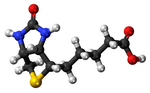 Biotin Molecule