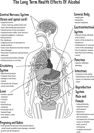 Effects of Alcohol on the Body