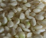 Peeled Garlic