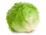 Lettuce as a Chlorine Food Source