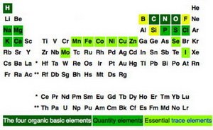Dietary Minerals Part of the Periodic Table
