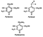 Three of Vitamin B6's Three Forms Three of Vitamin B6's Three Forms