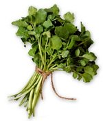 Watercress as a Chlorine Food Source