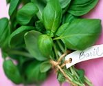 Whole Basil