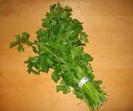 Parsley Flat Leaf Bunch